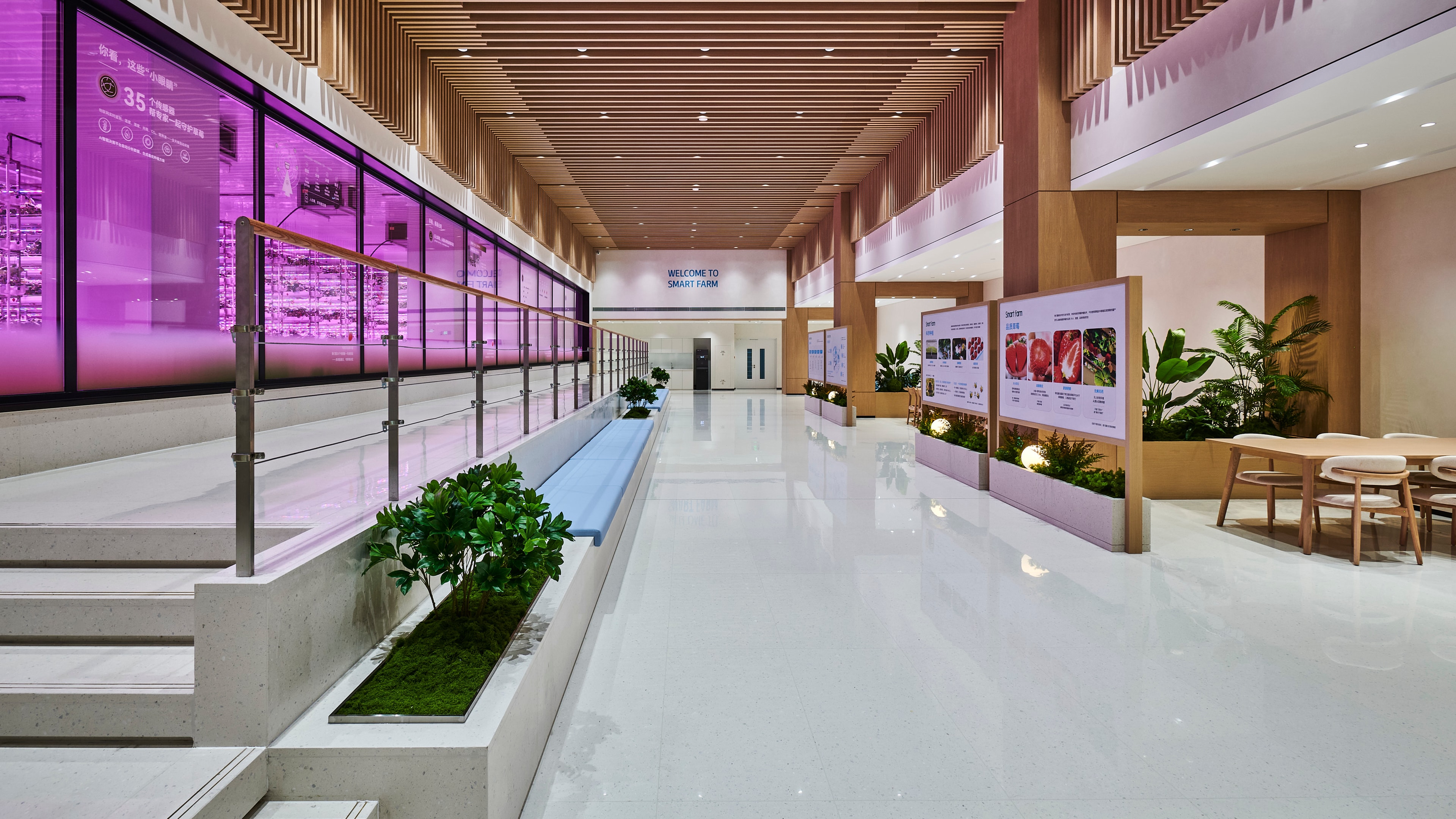 Atomy Vision Park, Yantai